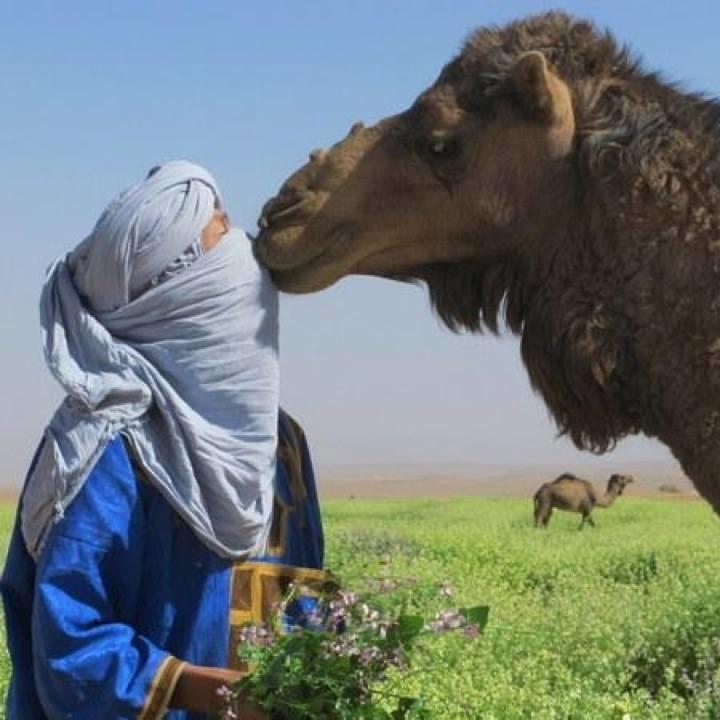 Riad De Reve Zagora Luaran gambar